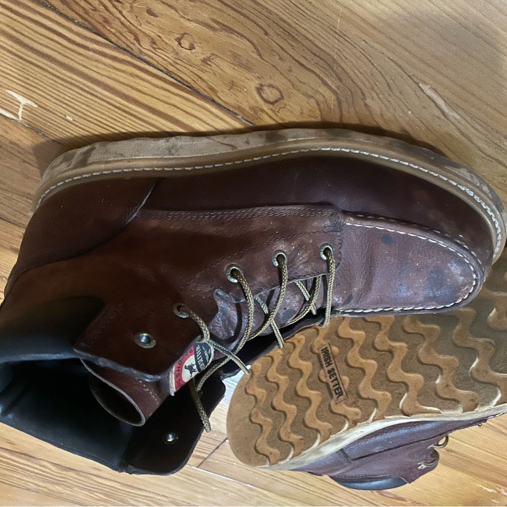 Red Wing Irish Setters